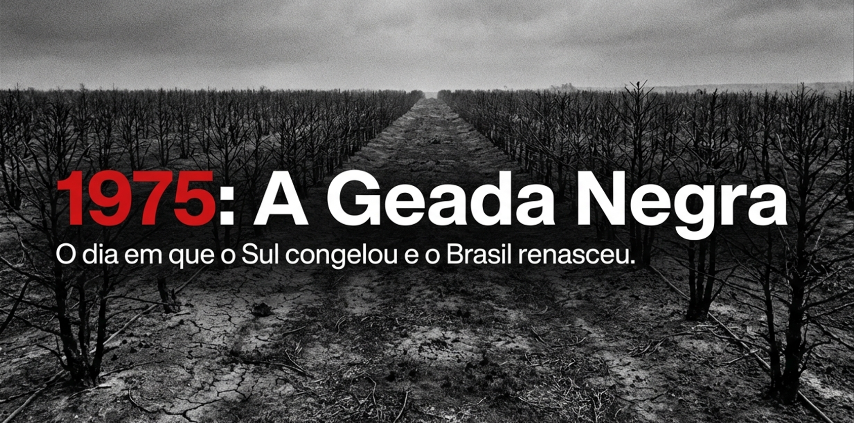 A Geada Negra e o Agro