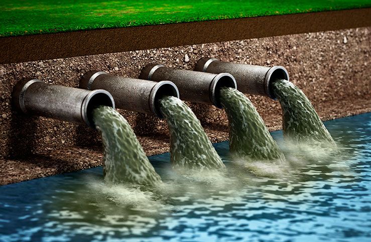 Queremos mesmo salvar o Meio Ambiente? — RXO